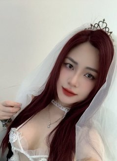 Photo 24