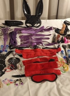 Photo 17