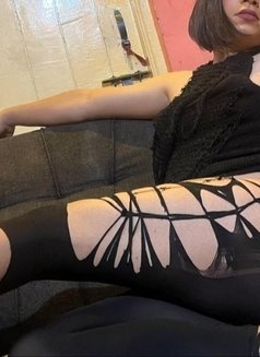 Photo 29