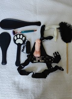 Photo 6