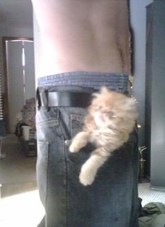 Photo 25