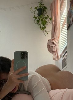Herbert Waelchi – American escort in Ottawa