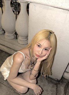 Photo 27
