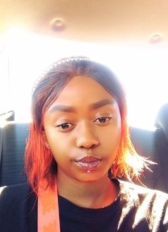 Ella – South African escort in Nottingham