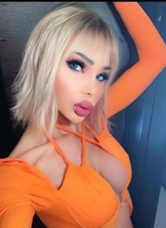 Photo 24