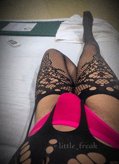 Photo 4