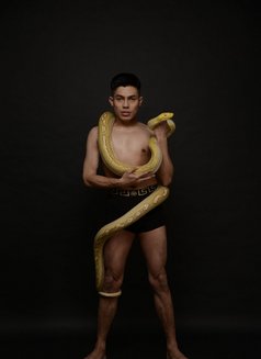 Photo 11
