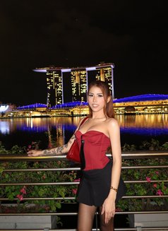 Photo 29
