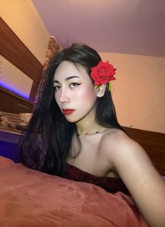 Photo 23