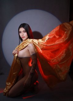 Photo 24