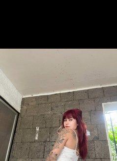 Photo 17