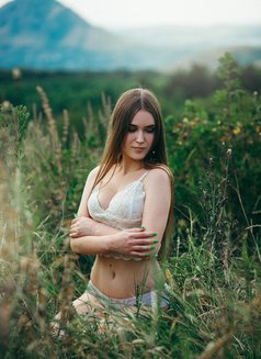 Photo 24