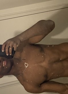 Adam Amax – Haitian Male escort in Calgary