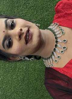 Barbie Doll – Indian Transsexual escort in Chandigarh