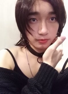 C. C – Transsexual escort in Shenzhen