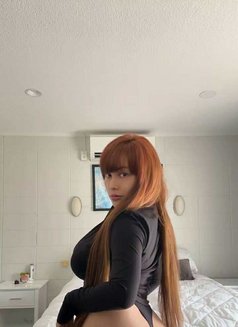 Photo 26