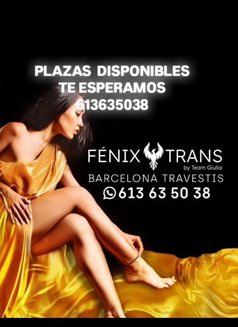 Fenixtransbcn – Transsexual escort in Barcelona