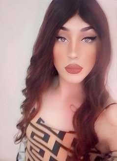 Gogo – Lebanese Transsexual escort agency in Cairo