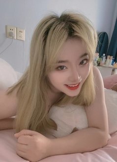 Jia Jia – Chinese escort in Shanghai
