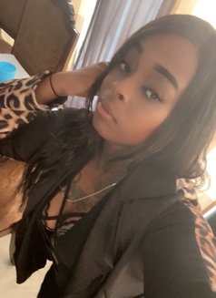 Moreno Amor – American escort in Tijuana
