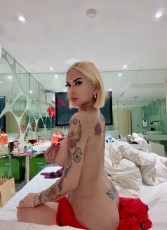 Photo 26