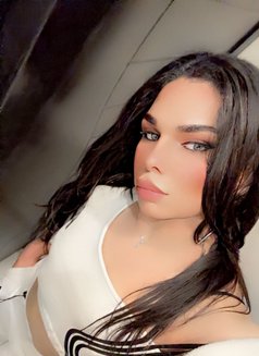 Shams – French Transsexual escort in Cairo